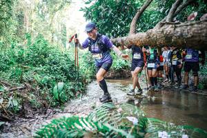 BIB: 
                            <button type="button" onclick="openModal(25475592)" class="btn btn-primary btn-sm float-right btn-popup" data-toggle="modal" data-target=".modal-high-quality">
                        <i class="fas fa-shopping-cart"></i> Add to Cart
                    </button>
                                            <button type="button" onclick="isThisMe(25475592, true)" class="btn btn-success btn-sm float-right btn-popup btn-isme hidden" data-toggle="tooltip" data-placement="bottom" title="นี่คือรูปของคุณใช่ไหม คลิกที่นี่เพื่อเอาเข้าอัลบั้ม">
                        <i class="fas fa-plus"></i> Add to album
                    </button>
                    <button type="button" onclick="isThisMe(25475592, false)" class="btn btn-warning btn-sm float-right btn-popup btn-isnotme hidden">
                        <i class="fas fa-ban"></i> Remove from album
                    </button>